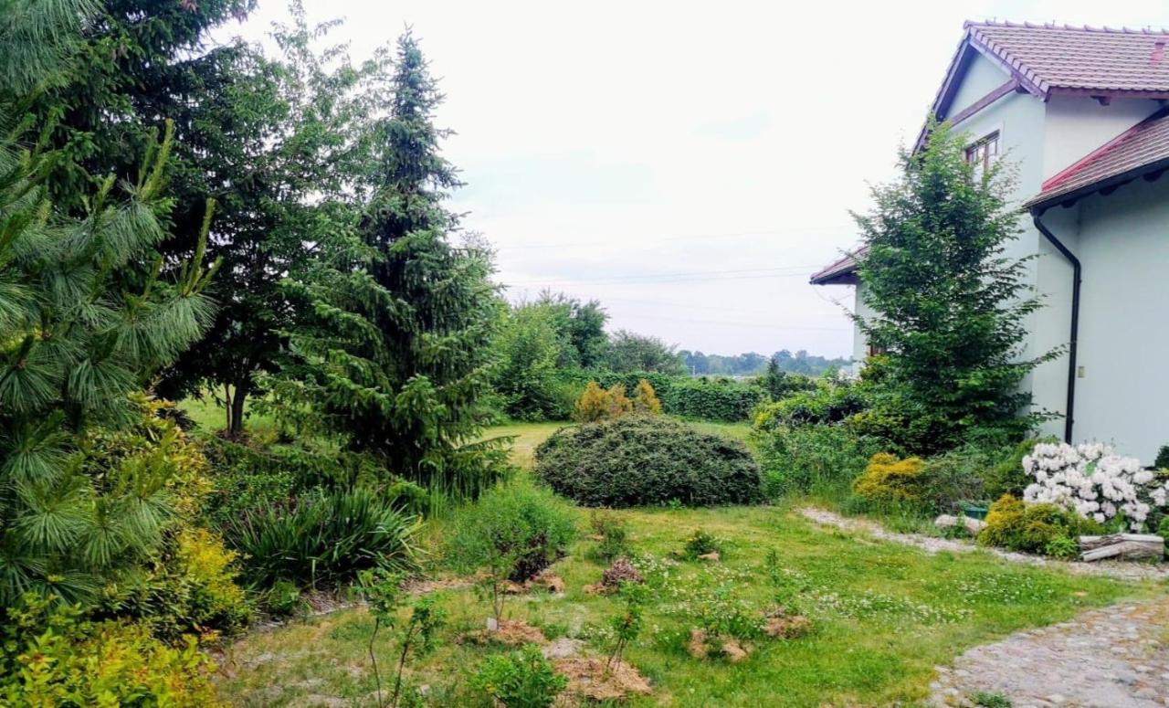 Apartamenty Zielona Gora Εξωτερικό φωτογραφία