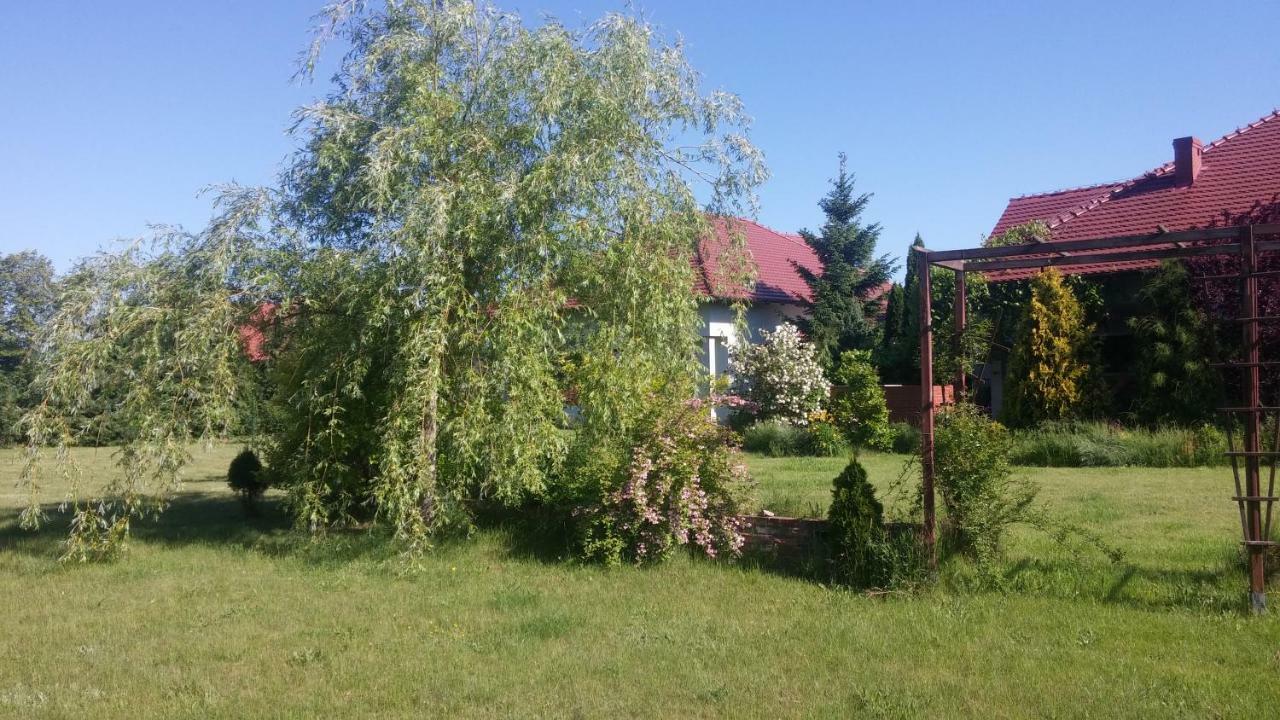 Apartamenty Zielona Gora Εξωτερικό φωτογραφία